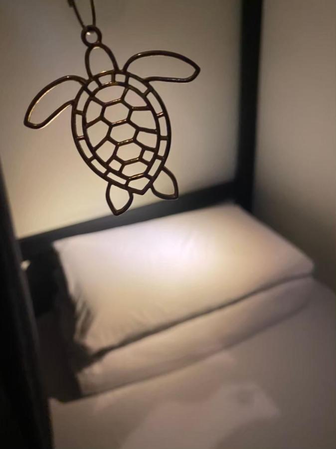 琉浪潛水背包客棧 Drift Diving Hostel Xiaoliuqiu Exterior foto
